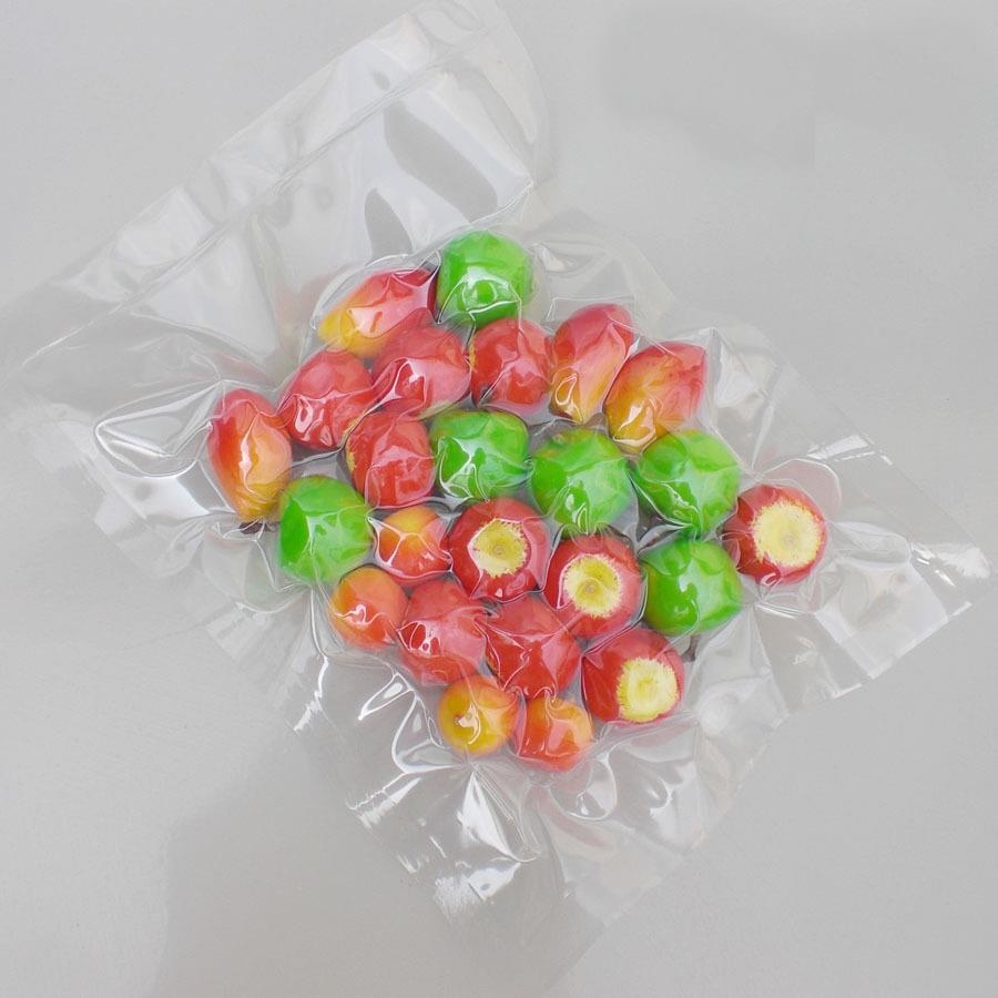 خلا بیگ vacuum bag