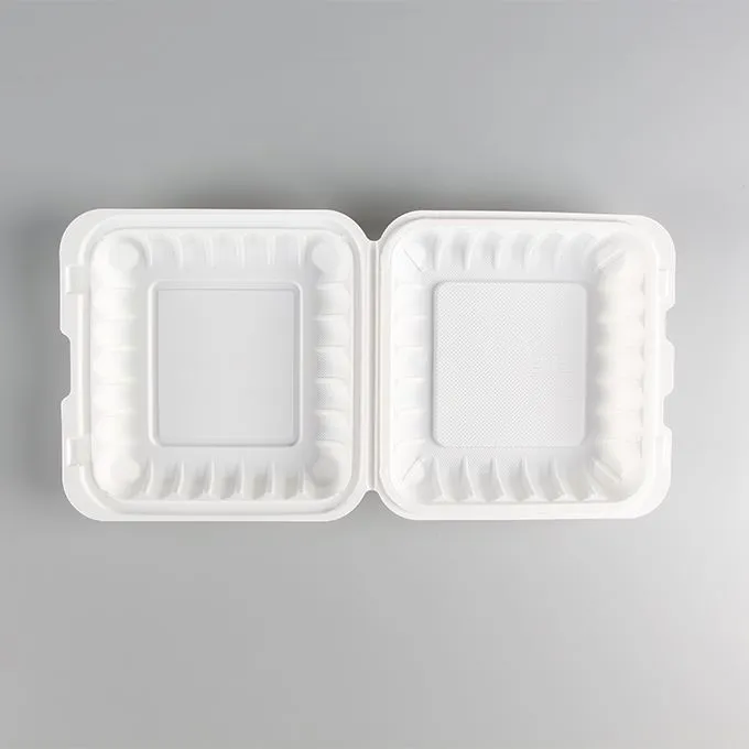 پلاسٹک لنچ باکس