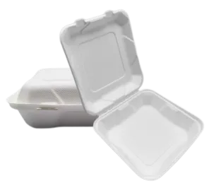 8'' Bagasse ٹو گو فوڈ کنٹینرز