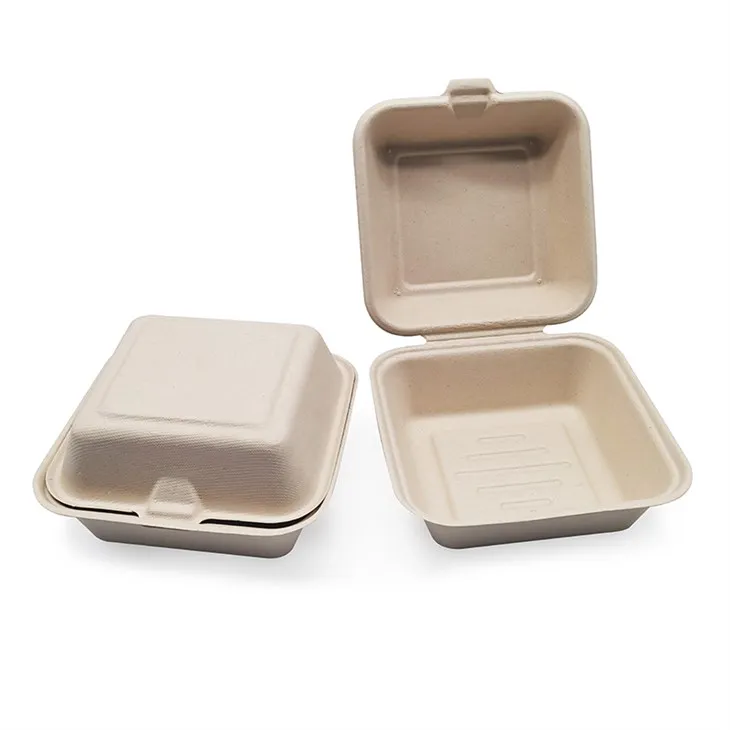 بائیوڈیگریڈیبل لنچ کنٹینر