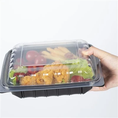 ڈسپوزایبل فوڈ پیکیجنگ کنٹینرز