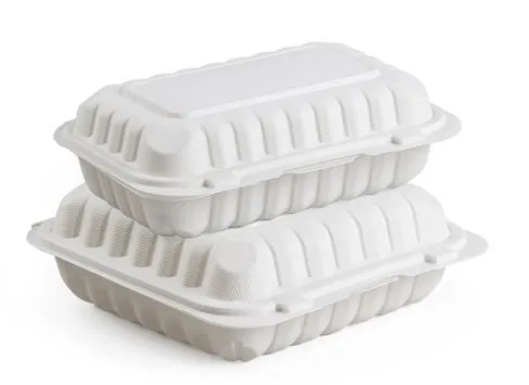 9x6 انچ مائکروویو ایبل فوڈ کنٹینر